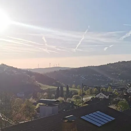 Apartamento Odenwaldwellness