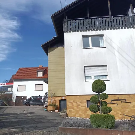 Odenwaldwellness Apartamento