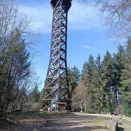 Odenwaldwellness Apartamento *