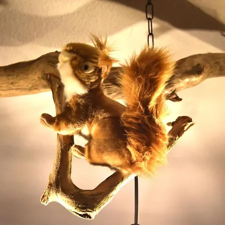 Odenwaldwellness Apartamento *